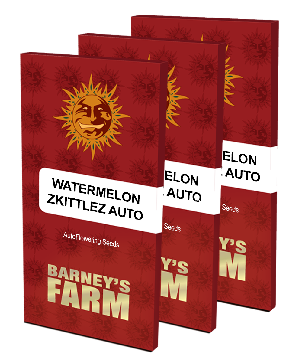 Aeroponica, AUTOFIORENTI, Barney's Farm, Brands_Barney's Farm, Coltivazione, Idroponica, Indoor, Outdoor, Semi, THC, Tipo_Auto Fiorenti, Watermelon Zkittlez Auto - doisgrowshop.it