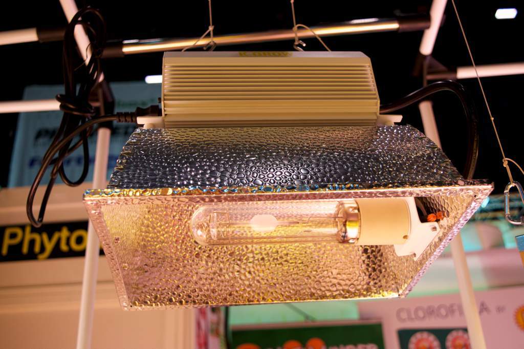 Phytolite Lampada CMH/LEC Bulbo 315W 3.100K