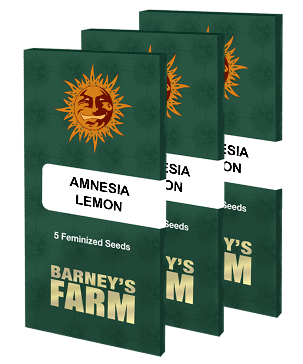 Aeroponica, Amnesia Lemon, Barney's Farm, Brands_Barney's Farm, Coltivazione, FEMMINIZZATI, Idroponica, Indoor, Outdoor, Semi, THC, Tipo_Femminizzati - doisgrowshop.it