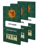 Aeroponica, Barney's Farm, Brands_Barney's Farm, Coltivazione, FEMMINIZZATI, G13 Haze, Idroponica, Indoor, Outdoor, Semi, THC, Tipo_Femminizzati - doisgrowshop.it