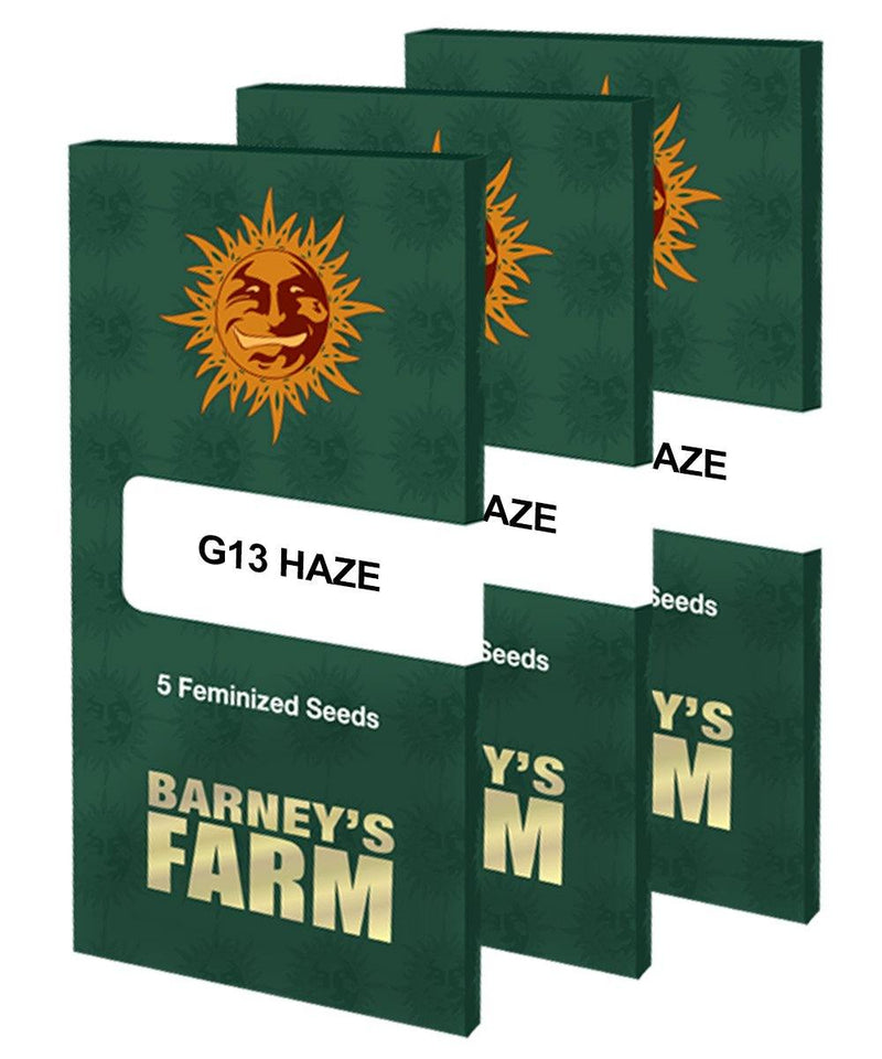 Aeroponica, Barney's Farm, Brands_Barney's Farm, Coltivazione, FEMMINIZZATI, G13 Haze, Idroponica, Indoor, Outdoor, Semi, THC, Tipo_Femminizzati - doisgrowshop.it