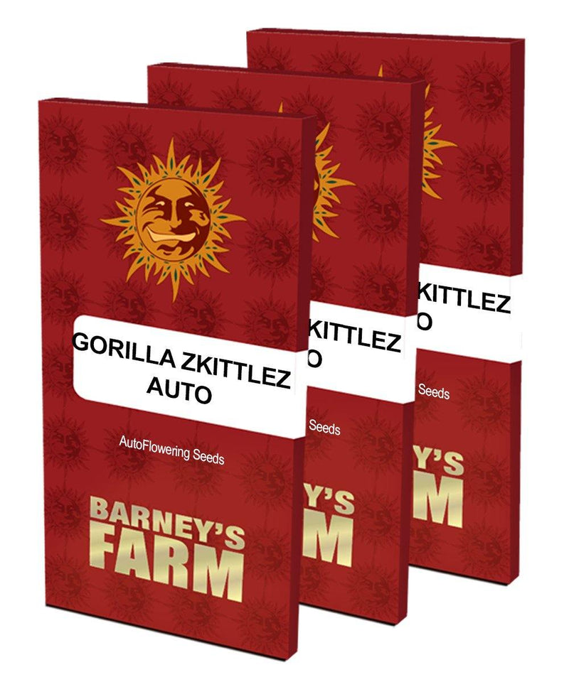 Aeroponica, AUTOFIORENTI, Barney's Farm, Brands_Barney's Farm, Coltivazione, Gorilla Zkittlez Auto, Idroponica, Indoor, Outdoor, Semi, THC, Tipo_Auto Fiorenti - doisgrowshop.it