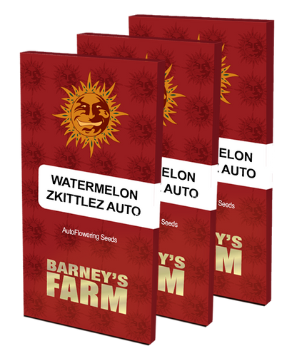 Aeroponica, AUTOFIORENTI, Barney's Farm, Brands_Barney's Farm, Coltivazione, Idroponica, Indoor, Outdoor, Semi, THC, Tipo_Auto Fiorenti, Watermelon Zkittlez Auto - doisgrowshop.it