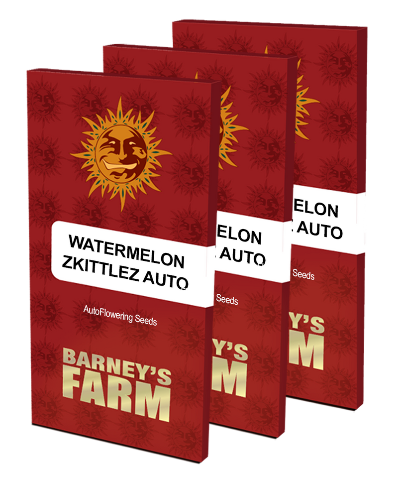 Aeroponica, AUTOFIORENTI, Barney's Farm, Brands_Barney's Farm, Coltivazione, Idroponica, Indoor, Outdoor, Semi, THC, Tipo_Auto Fiorenti, Watermelon Zkittlez Auto - doisgrowshop.it