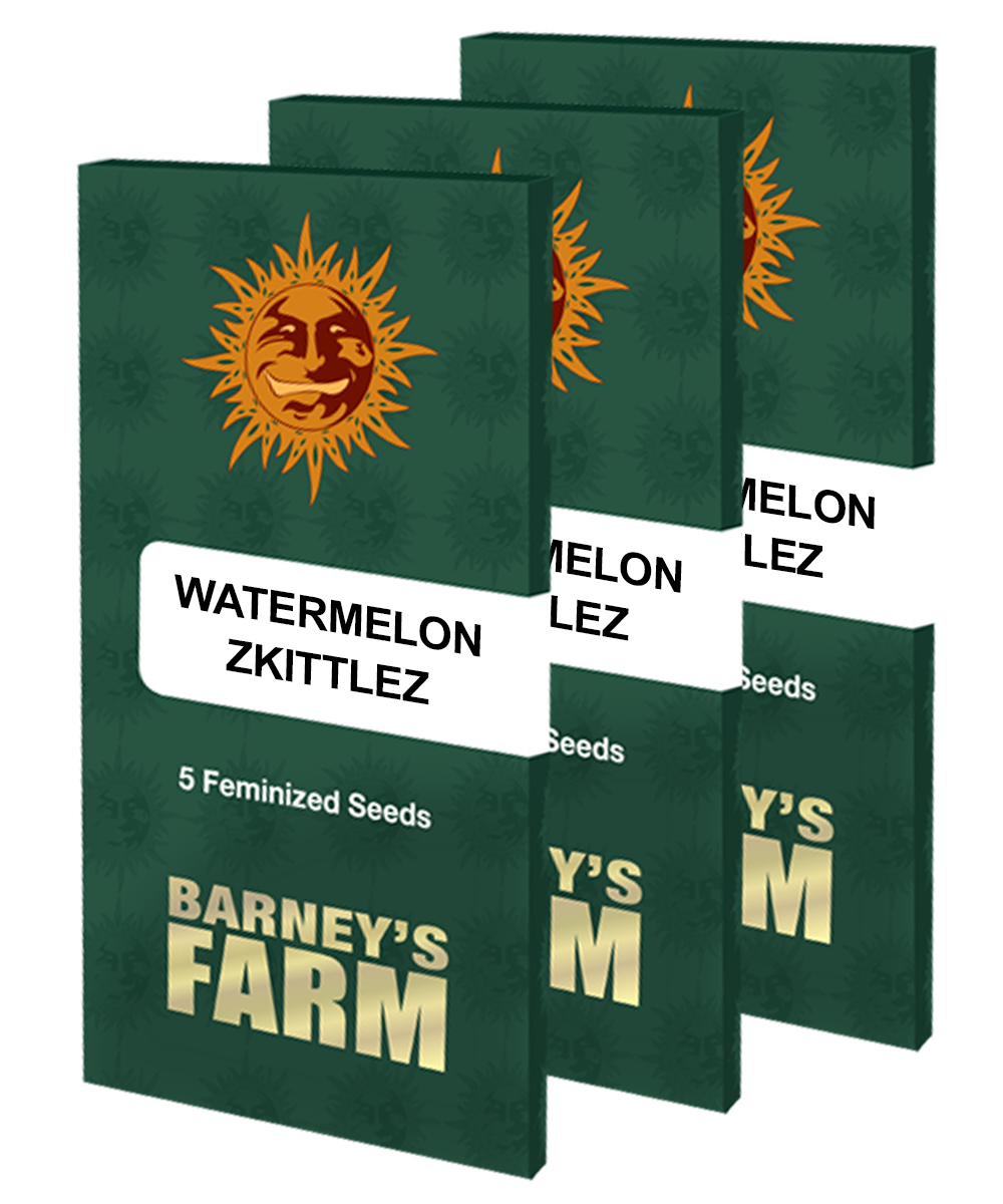 Aeroponica, Barney's Farm, Brands_Barney's Farm, Coltivazione, FEMMINIZZATI, Idroponica, Indoor, Outdoor, Semi, THC, Tipo_Femminizzati, Watermelon Zkittlez - doisgrowshop.it