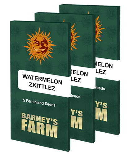 Aeroponica, Barney's Farm, Brands_Barney's Farm, Coltivazione, FEMMINIZZATI, Idroponica, Indoor, Outdoor, Semi, THC, Tipo_Femminizzati, Watermelon Zkittlez - doisgrowshop.it