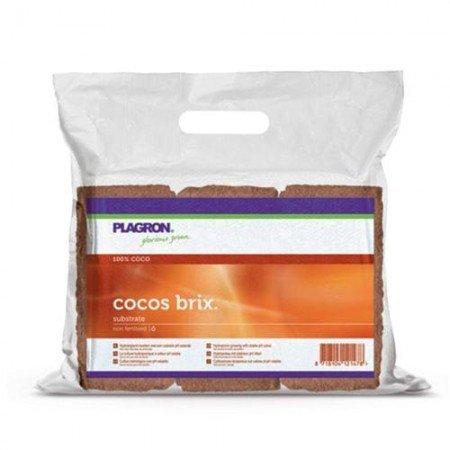 Plagron Cocos Brix 6 mattoni