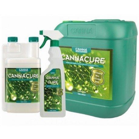 Canna Cannacure