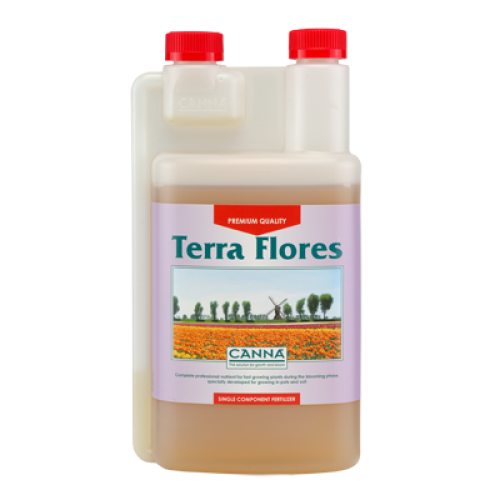 Canna Terra Flores