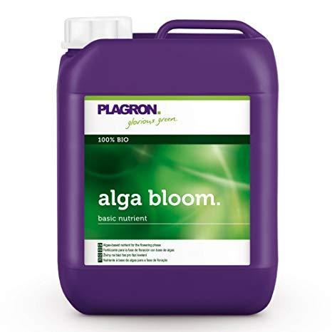 Plagron Alga Bloom