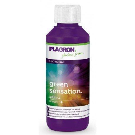 Plagron Green Sensation