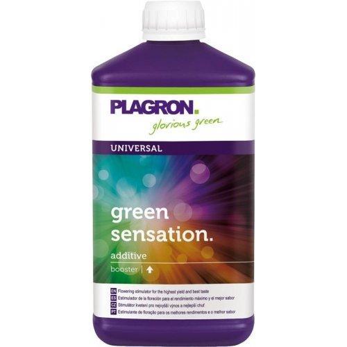 Plagron Green Sensation