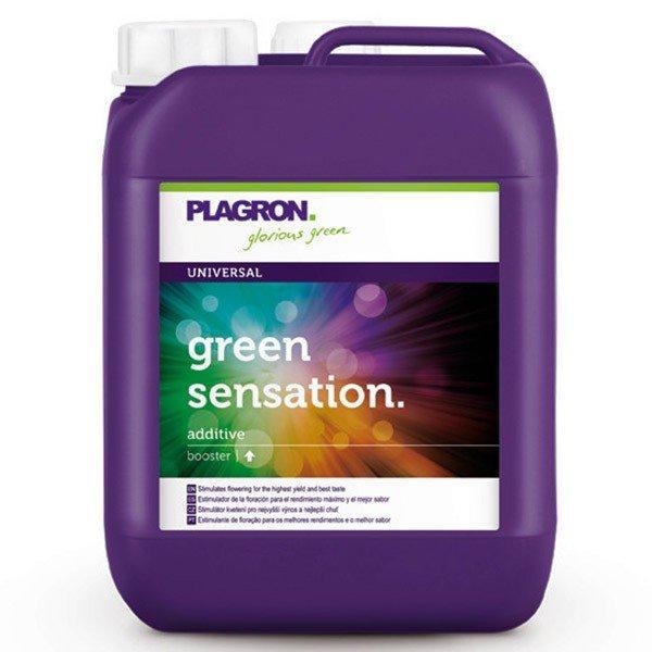 Plagron Green Sensation