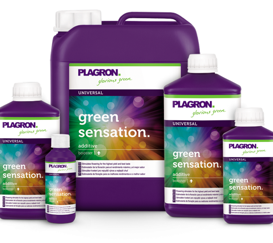 Plagron Green Sensation