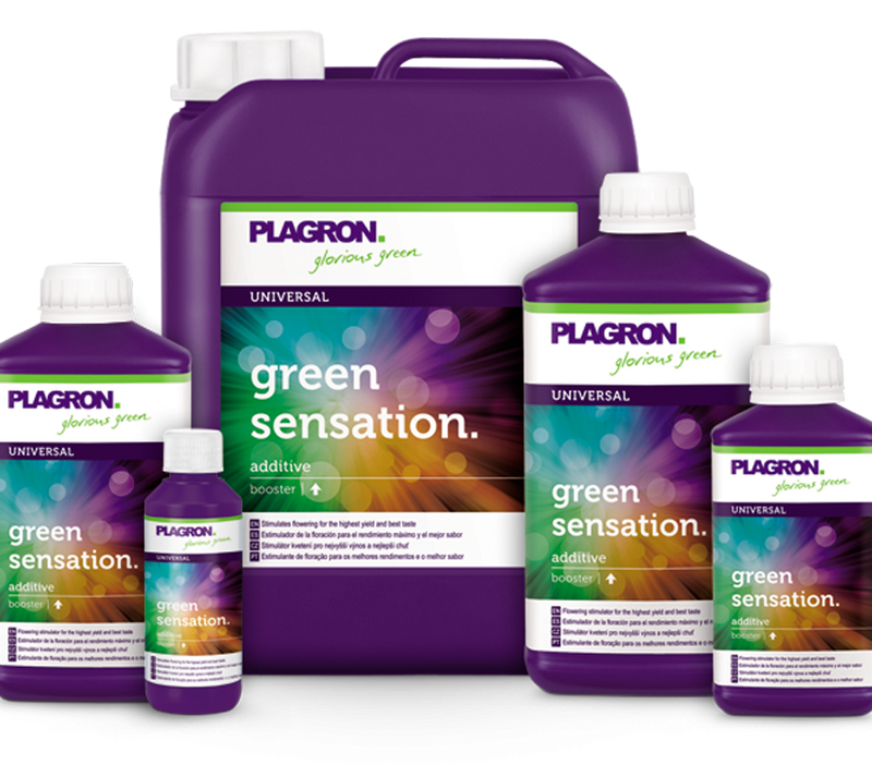 Plagron Green Sensation