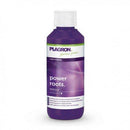 Plagron Power Roots