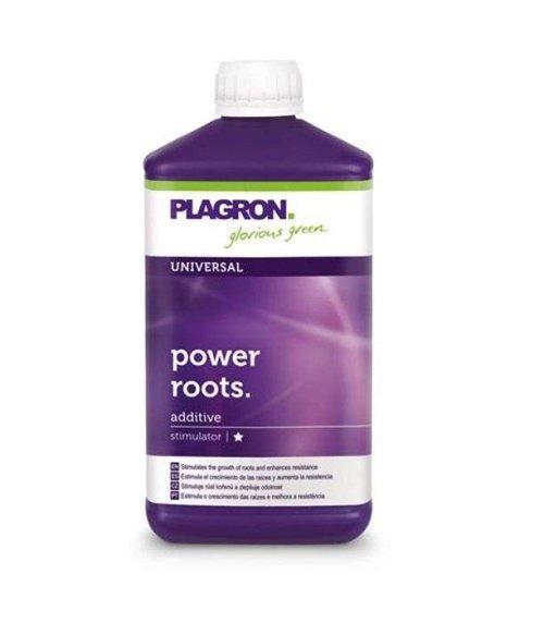 Plagron Power Roots