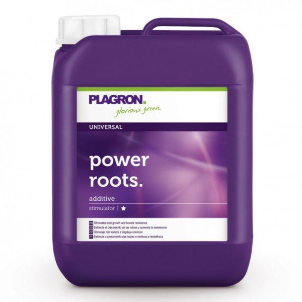 Plagron Power Roots