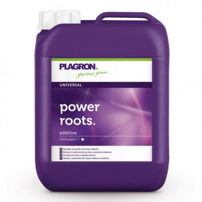 Plagron Power Roots