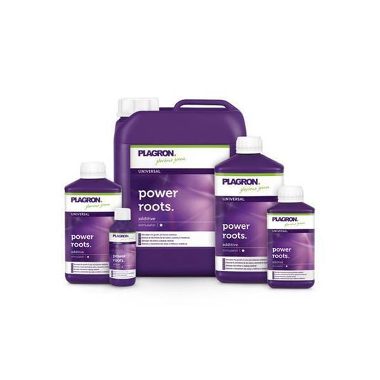 Plagron Power Roots