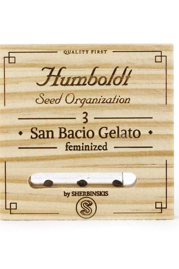 Humboldt San Bacio Gelato