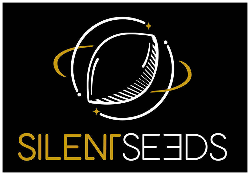 Silent Seeds L.A. Vanilla Cake