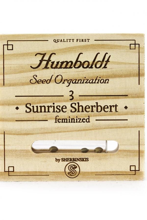 Humboldt Sunrise Sherbert