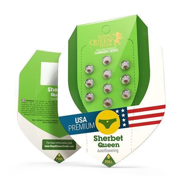 Aeroponica, Autocoltivazione, AUTOFIORENTI, Brands_Royal Queen Seeds, Coltivazione, Idroponica, Indoor, Outdoor, Semi, Semi da collezione, Sherbet Queen Auto, THC, Tipo_Auto Fiorenti - doisgrowshop.it