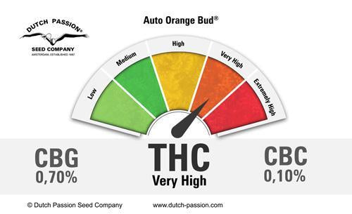 Dutch Passion Orange Bud Auto