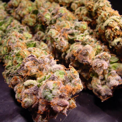 Paradise Seeds Durga Mata