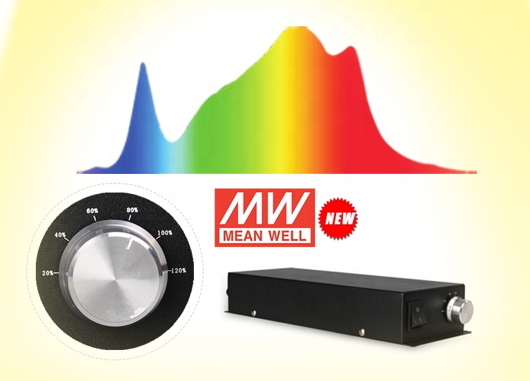 Aeroponica, Brands_Phytolite, Coltivazione, Fase_Agro, Fase_Crescita, Fase_Fioritura, Idroponica, illuminazione, impianti illuminazione, Indoor, LED, LED coltivazione, Potenza_320W, TIpo_Illuminazione LED, Tipo_Kit Illuminazione, Tipo_Led - doisgrowshop.it