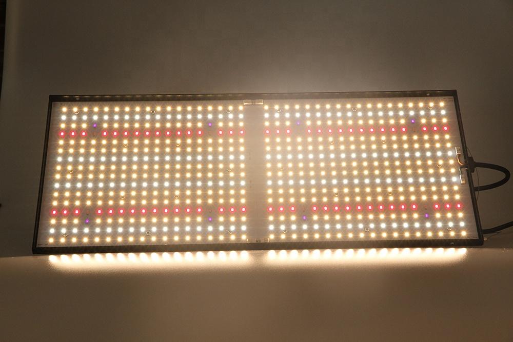 Aeroponica, Brands_Phytolite, Coltivazione, Fase_Agro, Fase_Crescita, Fase_Fioritura, Idroponica, illuminazione, impianti illuminazione, Indoor, LED, LED coltivazione, Potenza_240 W, TIpo_Illuminazione LED, Tipo_Kit Illuminazione, Tipo_Led - doisgrowshop.it